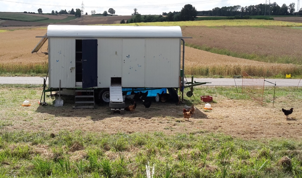 Mobiler Hühnerstall mit Geflügelzaun