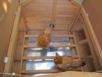 Pets Imperial® - Hühnerstall Savoy mit 1.4m Freilaufgehege - für 6 bis 8 Hühner Je nach Größe - leicht zu reinigen - 7